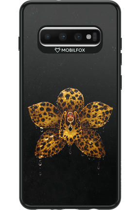 Wet & Wild 2.0 - Samsung Galaxy S10+