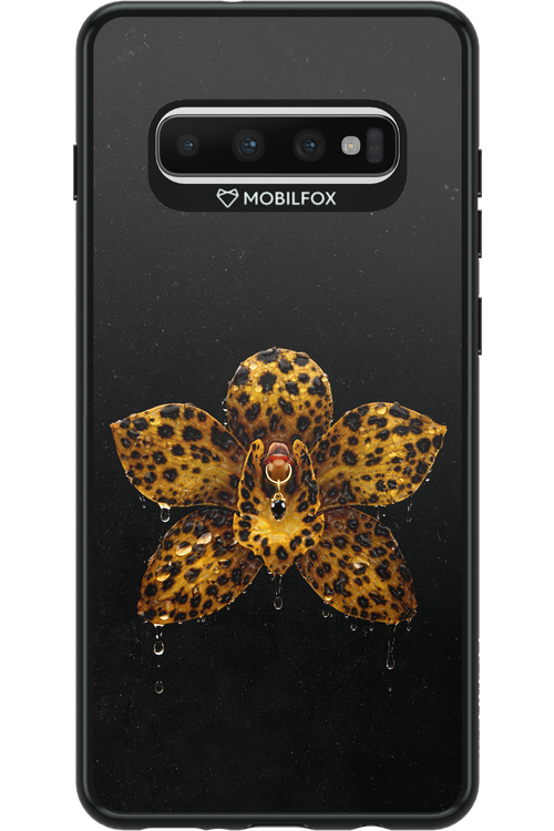 Wet & Wild 2.0 - Samsung Galaxy S10+