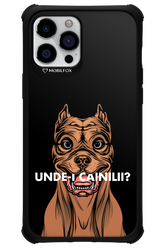 Unde-i Cainilii - Apple iPhone 12 Pro Max