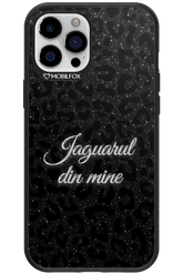 Jaguarul - Apple iPhone 12 Pro Max