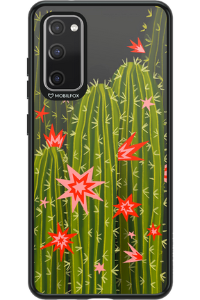 Cactus bloom 2.0 - Samsung Galaxy S20 FE