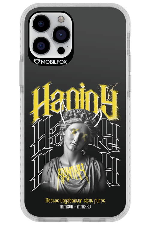 Haniny Icon (black) - Apple iPhone 12 Pro