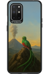 Birdy 2.0 - OnePlus 8T