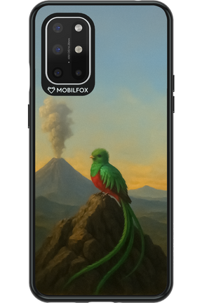 Birdy 2.0 - OnePlus 8T