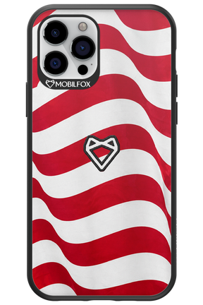 USA 2.0 - Apple iPhone 12 Pro