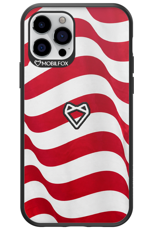USA 2.0 - Apple iPhone 12 Pro