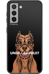 Unde-i Cainilii - Samsung Galaxy S21