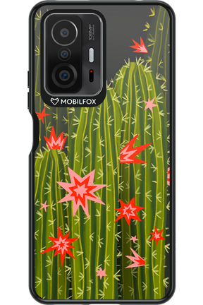 Cactus bloom 2.0 - Xiaomi Mi 11T Pro
