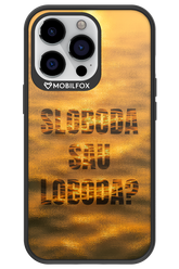 S or L - Apple iPhone 13 Pro
