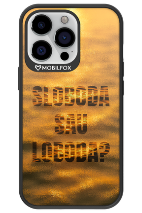 S or L - Apple iPhone 13 Pro