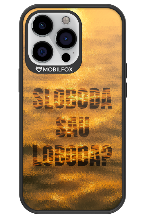 S or L - Apple iPhone 13 Pro