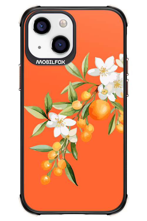 Amalfi Oranges - Apple iPhone 13 Mini