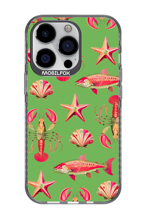 Sea Stars - Apple iPhone 13 Pro