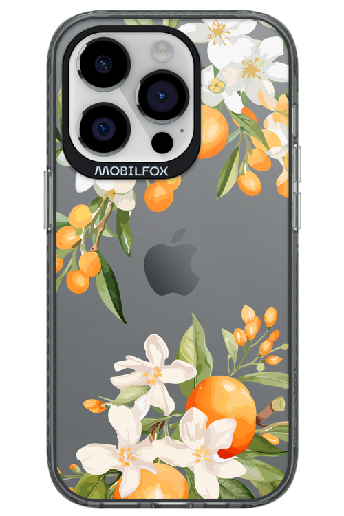 Amalfi Orange 2.0 - Apple iPhone 14 Pro