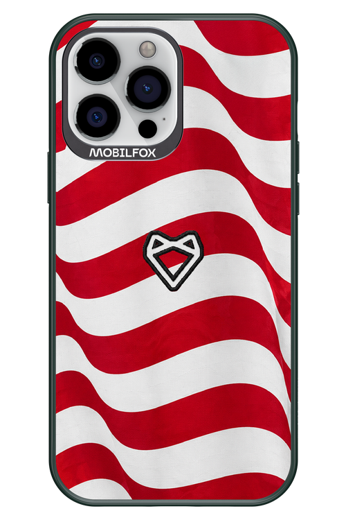 USA 2.0 - Apple iPhone 13 Pro Max