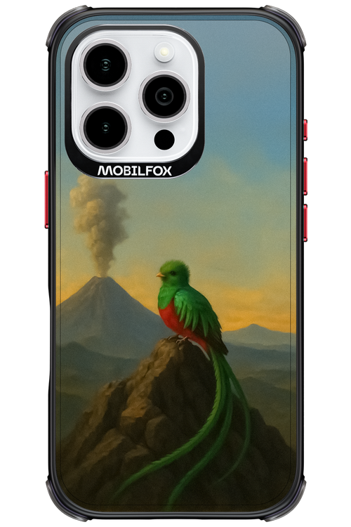 Birdy 2.0 - Apple iPhone 16 Pro