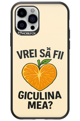 Design Clean 2.0 - Apple iPhone 12 Pro