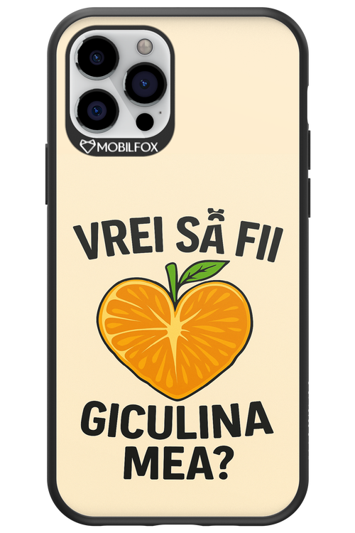 Design Clean 2.0 - Apple iPhone 12 Pro