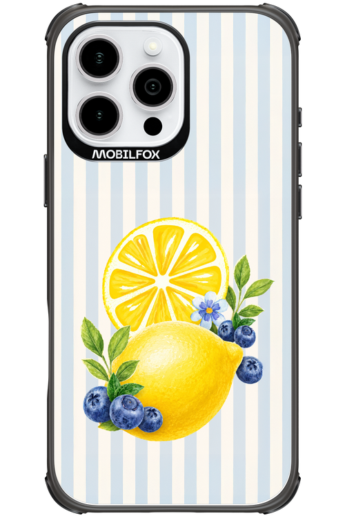 Fresh Flash 2.0 - Apple iPhone 16 Pro Max
