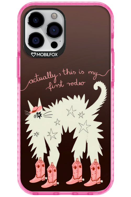 First rodeo 2.0 - Apple iPhone 12 Pro Max