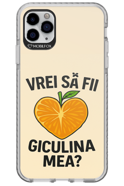 Design Clean 2.0 - Apple iPhone 11 Pro Max