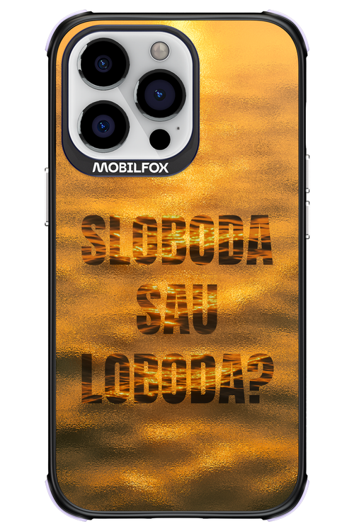 S or L - Apple iPhone 13 Pro