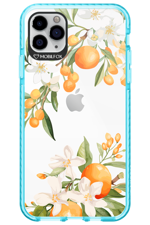 Amalfi Orange 2.0 - Apple iPhone 11 Pro Max