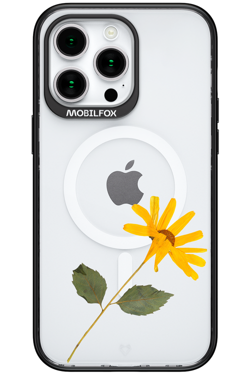 Pressed Flower - Apple iPhone 15 Pro Max