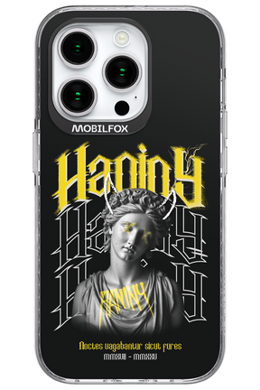 Haniny Icon (black) - Apple iPhone 15 Pro