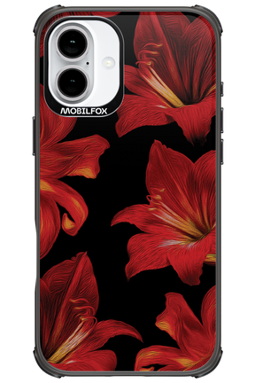 Amaryllis Noir - Apple iPhone 16 Plus