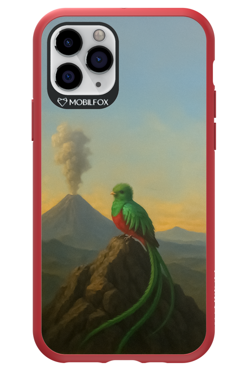 Birdy 2.0 - Apple iPhone 11 Pro
