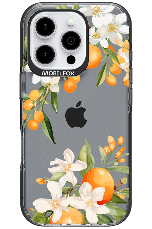 Amalfi Orange 2.0 - Apple iPhone 16 Pro