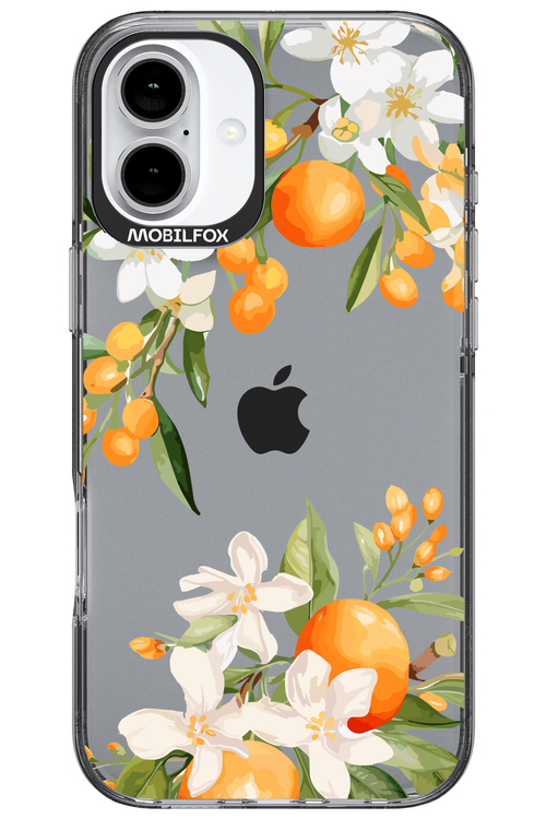 Amalfi Orange 2.0 - Apple iPhone 16 Plus