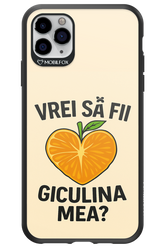 Design Clean 2.0 - Apple iPhone 11 Pro Max
