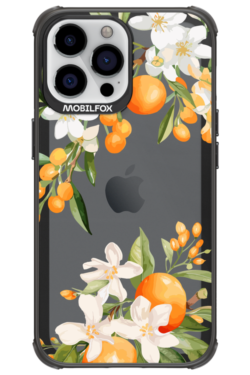 Amalfi Orange 2.0 - Apple iPhone 13 Pro Max