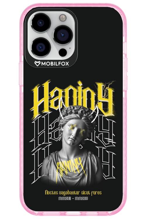Haniny Icon (black) - Apple iPhone 13 Pro Max