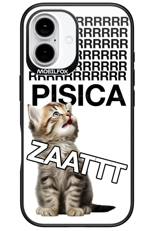 Pisica ztt - Apple iPhone 16