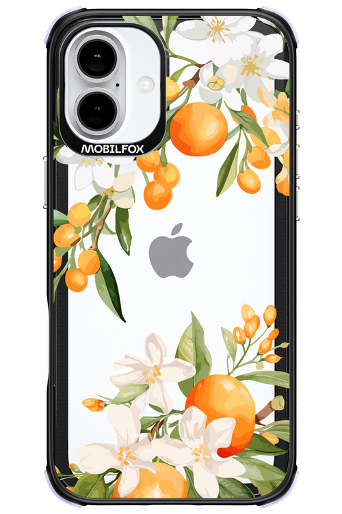 Amalfi Orange 2.0 - Apple iPhone 16 Plus