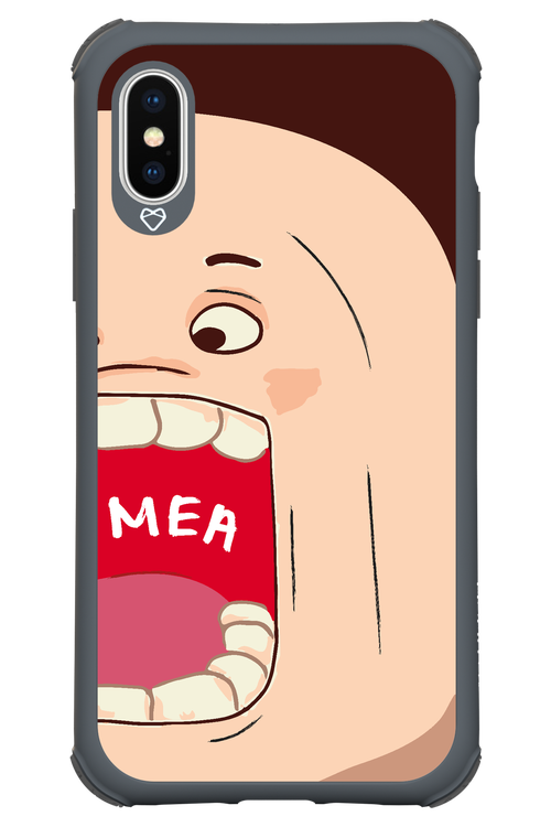 MEA 2 - Apple iPhone X