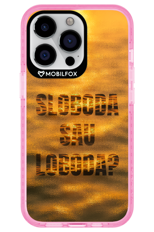 S or L - Apple iPhone 13 Pro