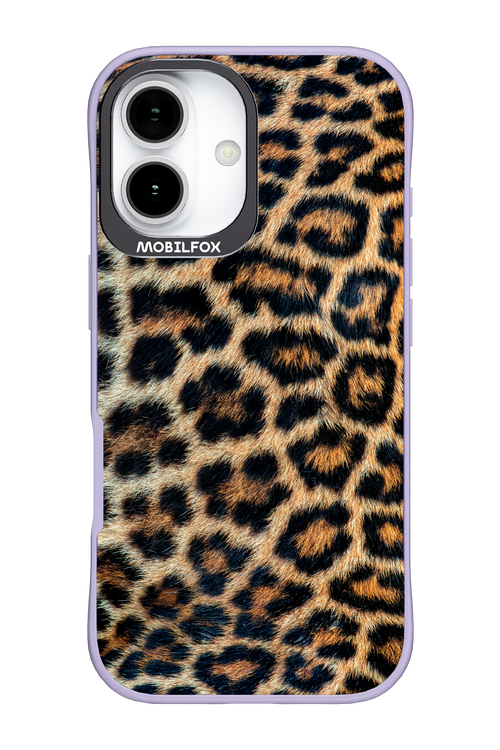 Leopard 2.0 - Apple iPhone 17