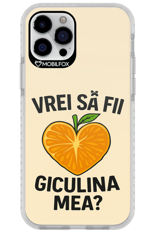 Design Clean 2.0 - Apple iPhone 12 Pro