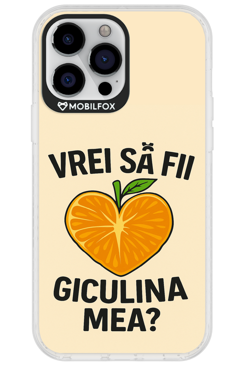 Design Clean 2.0 - Apple iPhone 13 Pro Max