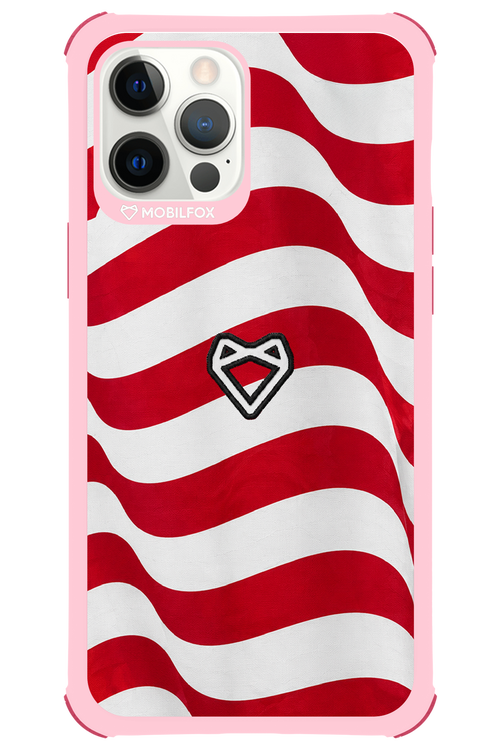 USA 2.0 - Apple iPhone 12 Pro Max