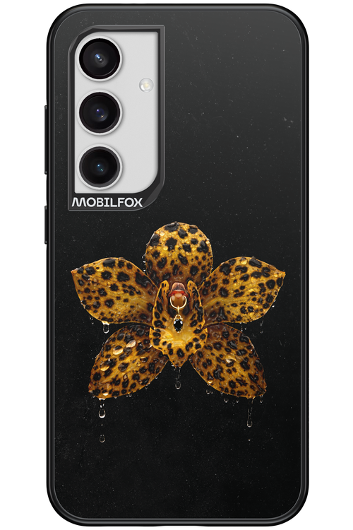 Wet & Wild 2.0 - Samsung Galaxy S24