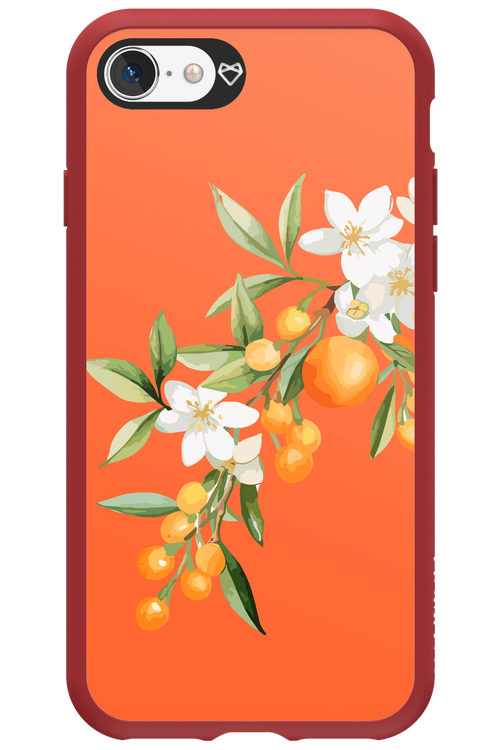 Amalfi Oranges - Apple iPhone SE 2020