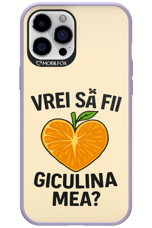 Design Clean 2.0 - Apple iPhone 12 Pro Max