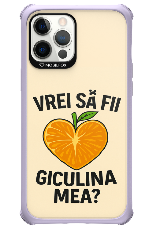 Design Clean 2.0 - Apple iPhone 12 Pro Max