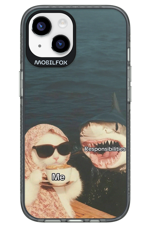 Responsibilities - Apple iPhone 14
