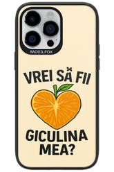 Design Clean 2.0 - Apple iPhone 14 Pro Max